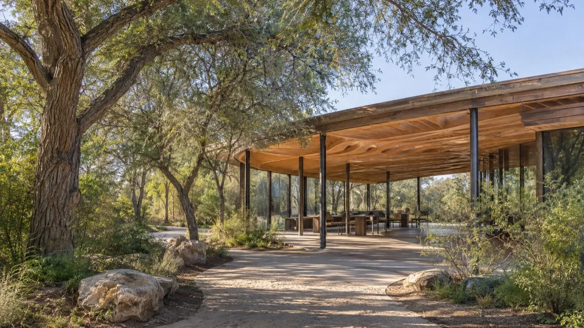 Editorial visualisation illustrating Ghaf Woods Forest Experience Center; not a documentary photograph