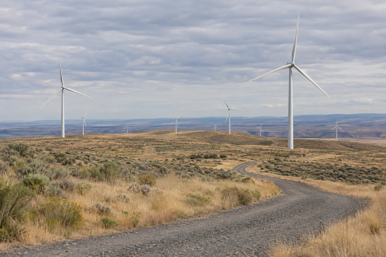 Editorial visualisation illustrating Shepherds Flat Wind Farm; not a documentary photograph