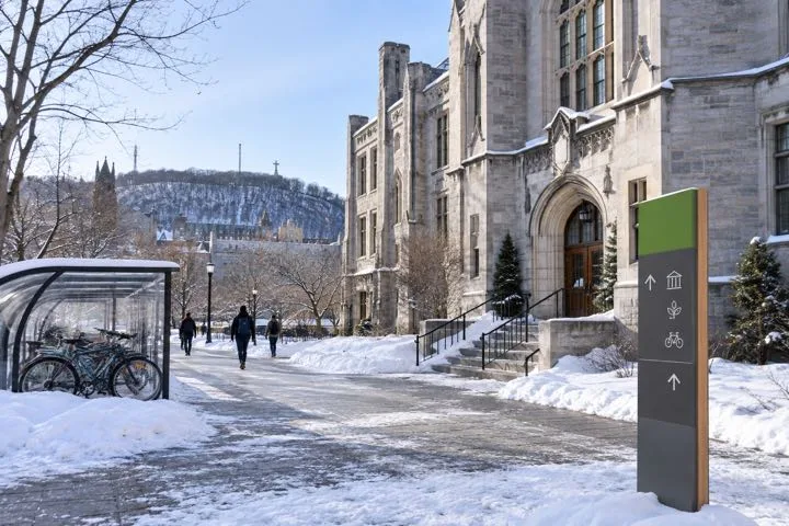 Editorial visualisation illustrating SUNY College of Environmental Science and Forestry; not a documentary photograph